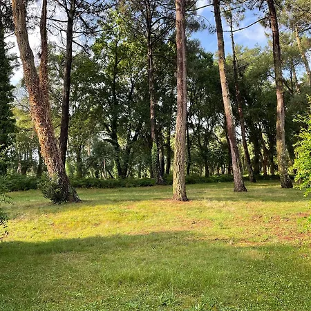 Appartamento T3 Plage Vieux Boucau Ocean Soustons